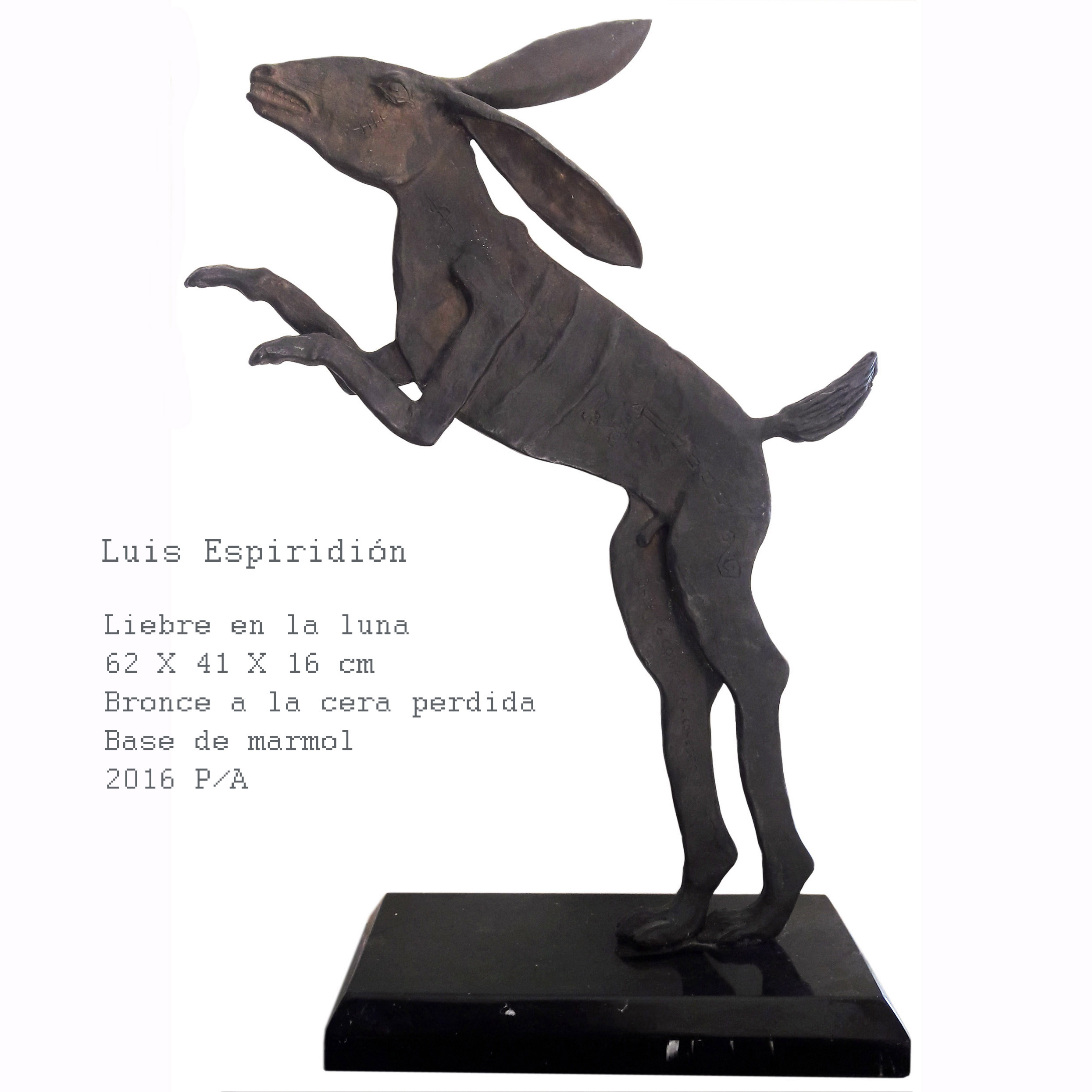 Liebre — obra de Luis Espiridión con ficha técnica