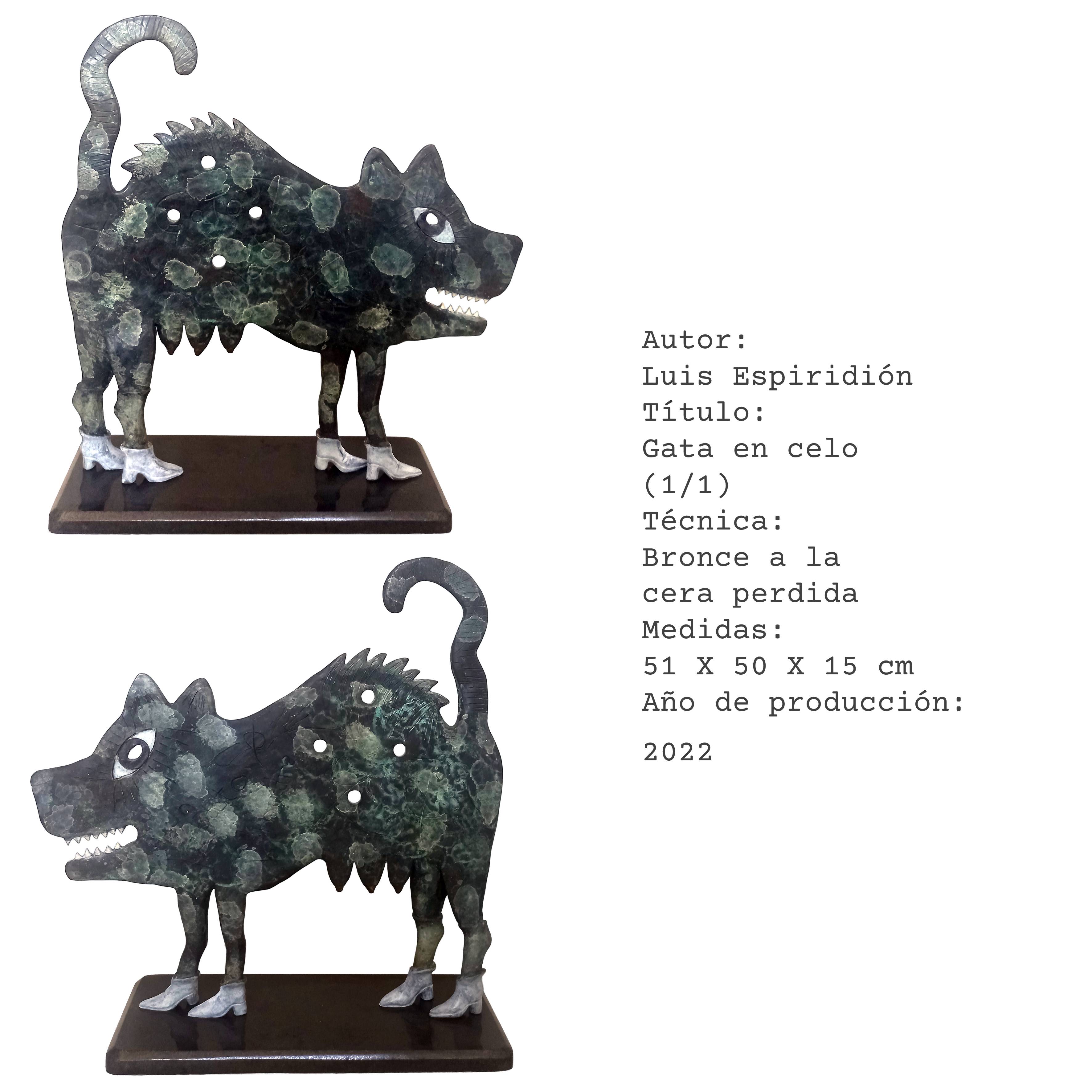 Gata blanca — obra de Luis Espiridión con ficha técnica