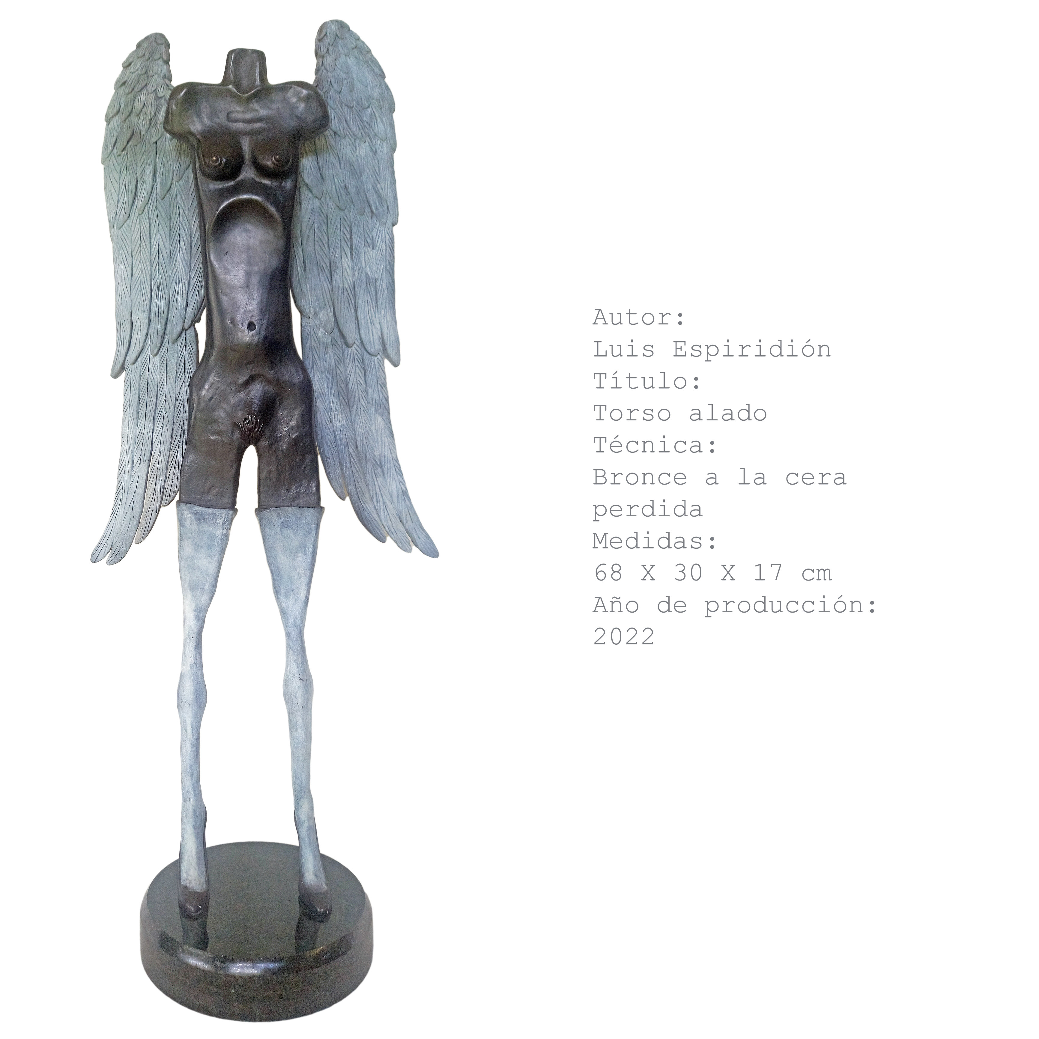 Torso alado — obra de Luis Espiridión con ficha técnica